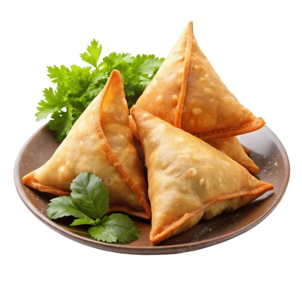 3 SAMOUSSA POULET // 3 CHICKEN SAMOUSSA